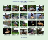 Fotoalbum